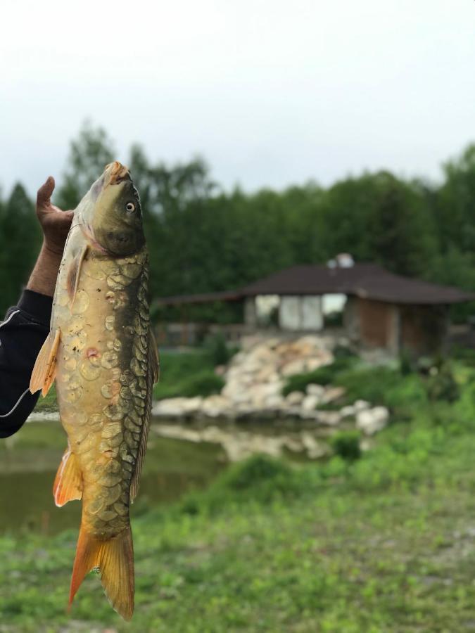 Диброва Dibrova  Luaran gambar