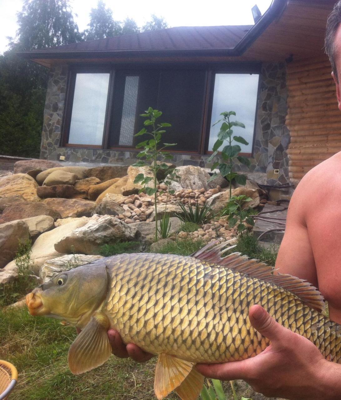 Диброва Dibrova  Luaran gambar