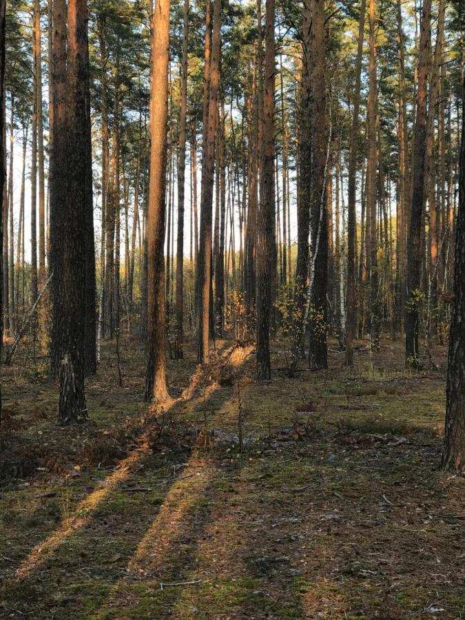 Диброва Dibrova  Luaran gambar