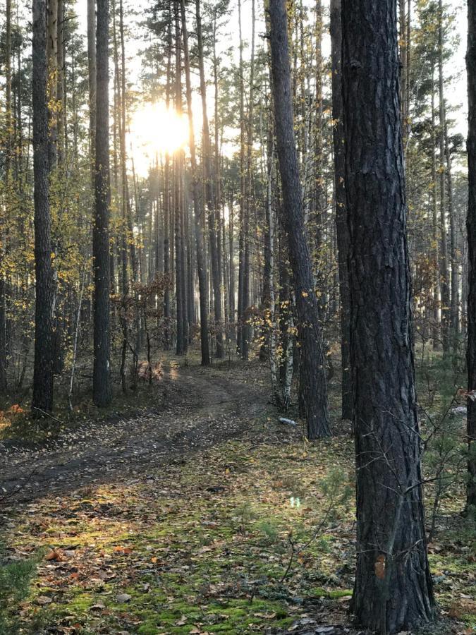 Диброва Dibrova  Luaran gambar